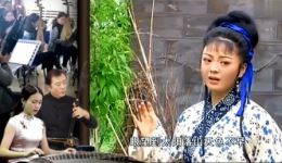 安徽庐剧《王三姐》全集下载｜盛小五郑芳经典演绎，薛平贵王宝钏爱情故事在线看下载