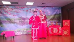 沪剧《龙凤花烛 洞房》高清资源下载｜叶根荣洪芳经典演绎，正版戏曲全剧速取下载