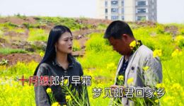 最苦不过人想人