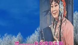 豫剧《秦雪梅吊孝》哭灵经典片段,阎立品深情演绎,在线观看下载 豫剧《秦雪梅吊孝》哭灵经典片段,阎立品深情演绎,在线观看下载