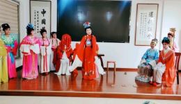 越剧《红楼梦》第七场金玉良缘高清下载，徐玉兰经典演绎，感受悲剧内核下载