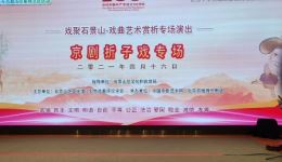 京剧《游湖》陈韵达郭润旭等名家演唱，经典白蛇传开篇戏曲在线下载下载