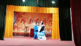 淮剧《莲花庵》选段南方花园演出，经典戏曲在线下载，领略传统艺术魅力