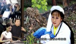 庐剧《绣花女哭坟》刘长芳深情演唱，父亲坟前诉苦经典选段，安徽地方戏曲在线下载下载