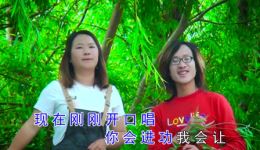 云南山歌《看看今天哪个强》杨泽丁香对唱，原生态山歌在线畅听下载