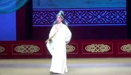 豫剧《风流才子》“赏画点秋”折 李朋杰精彩演绎才子风流，在线观看下载