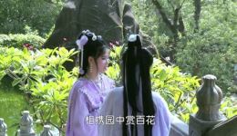 秋霜燕子飞