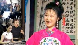 经典黄梅戏《小辞店》选段，叶晓芹精彩演绎，唱腔优美尽显韵味