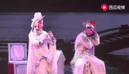 豫剧《蝴蝶杯·藏舟》高艺冰精彩演绎，经典唱段在线下载，领略传统戏曲魅力下载