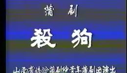 临汾市蒲剧院青年团《杀狗》全剧下载-蒲剧经典全场资源在线获取下载