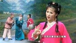 黄梅戏《灵姑戏虎》（上）高清资源下载｜乡村喜剧茆建琳主演，趣味剧情不容错过下载