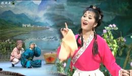 黄梅戏《灵姑戏虎》（下）高清下载 - 乡村喜剧 茆建琳主演 安徽省黄梅戏剧院经典下载