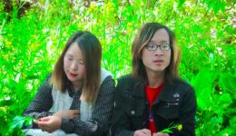 云南山歌《苦难多了才有甜》杨泽丁香深情对唱，感受苦难后的甘甜韵味下载
