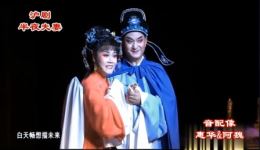 沪剧《半夜夫妻》阿魏惠华配唱，经典古装戏曲在线下载，沉浸式体验传统韵味下载