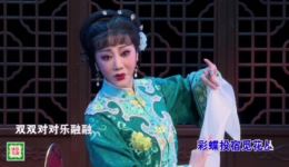 锡剧《嫁媳·冬去春残风雨中》董云华演唱 封建礼教下情感挣扎戏曲选段