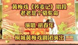 黄梅戏《荞麦记》选段在线观看，胡春年经典演唱，高清戏曲资源下载下载