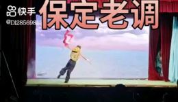 真假牡丹