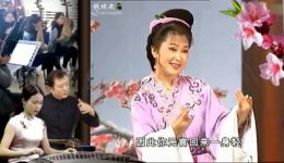 黄梅戏《五女拜寿》吴亚玲蒋建国经典唱段精选，戏曲片段在线收听下载