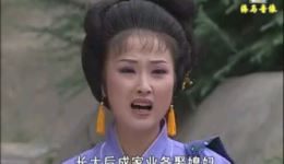 庐剧《抢孙子 休妻得子》第2集李立存陈伶俐主演，家庭伦理大戏在线下载下载