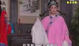 庐剧《抢孙子 休妻得子》第4集高清下载 李立存陈伶俐主演伦理大戏下载