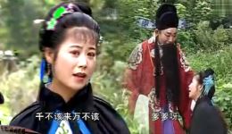 黄梅戏《泪洒相思地》高清全场下载凄美爱情故事，经典戏曲资源速存！下载