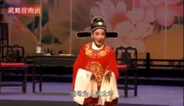 韩再芬全新演绎经典黄梅戏《女驸马》全本，正版高清戏曲资源在线下载下载