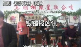 吕剧《苦菜花》银镯报凶讯唱段丁春萍李英深情演绎，经典戏曲在线下载下载