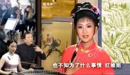 黄梅戏《跳粉墙》在线观看与高清下载 - 正版戏曲资源平台 黄梅戏《跳粉墙》在线观看与高清下载 - 正版戏曲资源平台