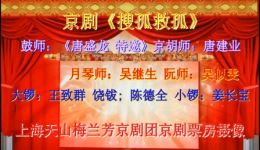 搜孤救孤