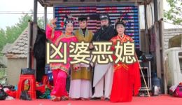 凶婆恶媳