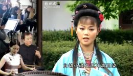 张秀英卖子