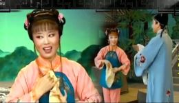 黄梅戏《蓝桥会》吴琼经典表演片段，八月十五相会剧情在线下载下载
