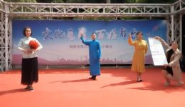 黄梅戏《蝶恋花—骄阳》刘国平吴美莲对唱选段，革命情怀戏曲在线收听下载