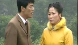 庐剧《有爸有妈无人养》全集高清下载 - 曹培强昂小红领衔主演伦理大戏下载