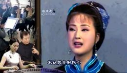 黄梅戏《母子坟》全剧资源下载｜陈伶俐钱统武经典演绎悲情大戏下载
