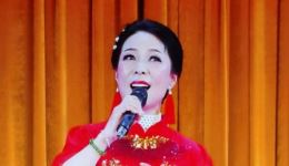 庐剧《清风明月》徐静演唱，传统戏曲经典，高清戏曲资源在线下载下载