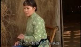 现代庐剧《雷雨》刘长芬李剑演唱 经典戏曲在线下载 庐剧资源免费获取下载