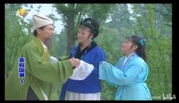 庐剧《真假国舅》戴黎明主演，经典戏曲资源，高清戏曲视频在线下载下载