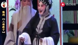豫剧《三娘教子》魏俊英经典演唱片段，在线下载资源下载