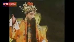 豫剧名家金不换个人演唱专辑全场下载，经典唱段一次看过瘾下载
