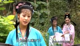 黄梅戏《泪洒相思地》选段在线下载若被爹爹知晓,丽君命难保凄美唱段 黄梅戏《泪洒相思地》选段在线下载若被爹爹知晓,丽君命难保凄美唱段