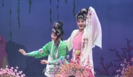 婺剧《白蛇传》全剧在线观看｜楼胜陈丽俐主演，经典神话剧目高清呈现