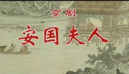 安国夫人