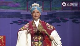 对花枪