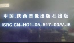 云南山歌剧《因祸得娇妻》全集高清下载，杨玉良等主演精彩演绎下载