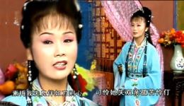 安徽庐剧《晚娘戏子》全集下载，思前景忆往事剧情，泪湿胸襟戏曲资源