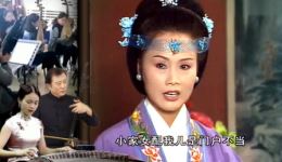 庐剧《绣花女传奇》在线观看_刘长芳演唱_安徽地方戏曲经典下载