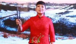 河南坠子《报母恩》胡中华经典表演，孝道主题戏曲在线下载