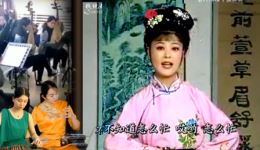 孬子赶集