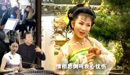 黄梅戏《小寡妇补缸》邢小凤深情演唱，凄美故事触动人心，经典选段在线观看下载